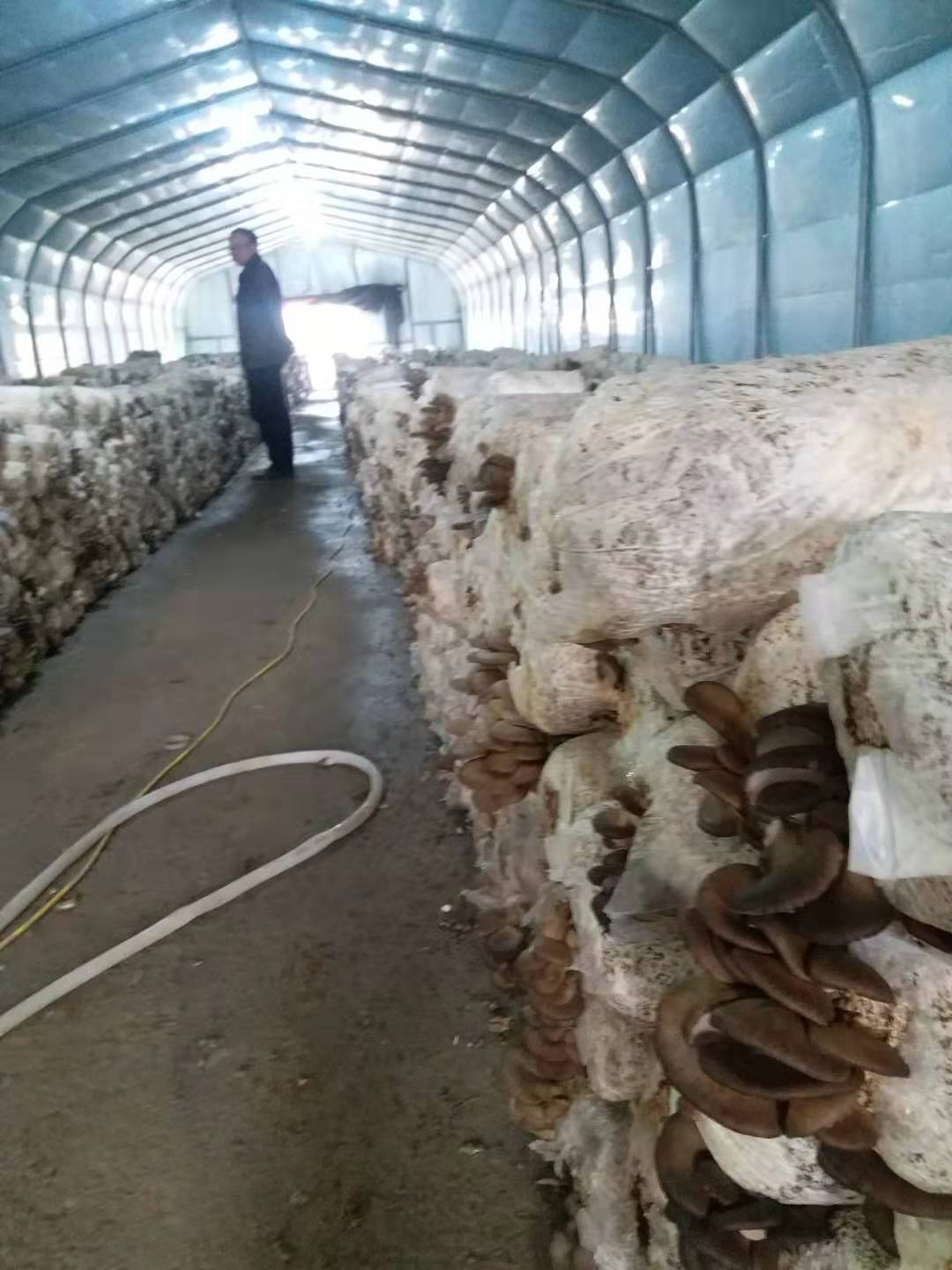 微信图片_20190301184633.jpg 微信图片_20190301184633.jpg